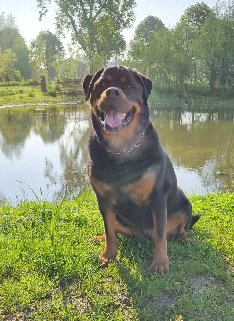 Hasty van Brixenburg